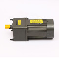 110v/220v AC Gear Motor for assembly line